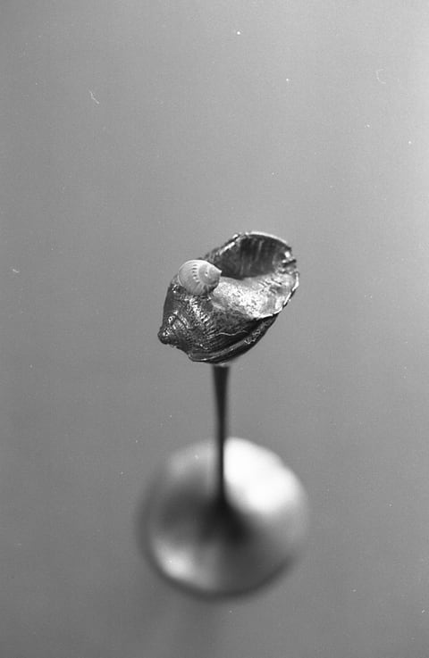 Bronze, 1978 – Ranil Ranasinghe