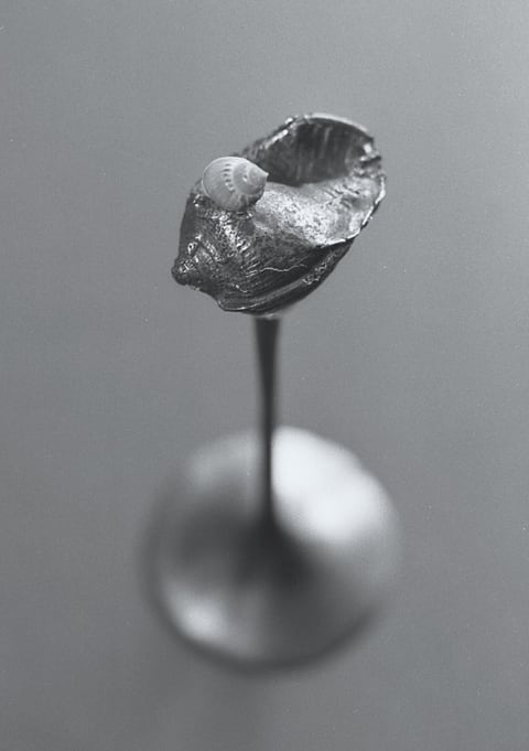 Bronze, 1978 – Ranil Ranasinghe