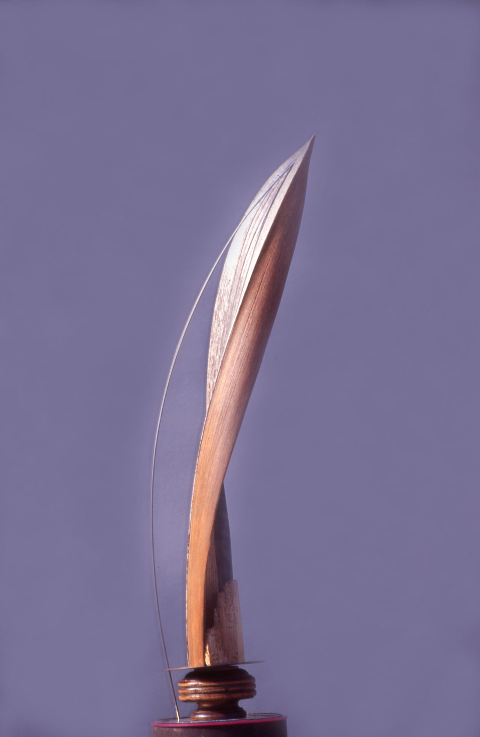 Holz, 2003 – Ranil Ranasinghe